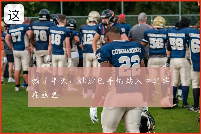 找了半天，sb沙巴手机站入口其实在这里
